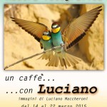 locandina-mostra-Luciano-low